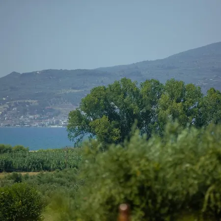 At The Messinian's Bay * Velíka