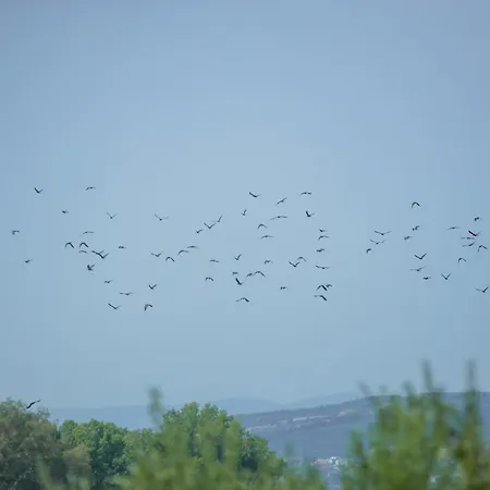 At The Messinian's Bay Velika (Messinia)